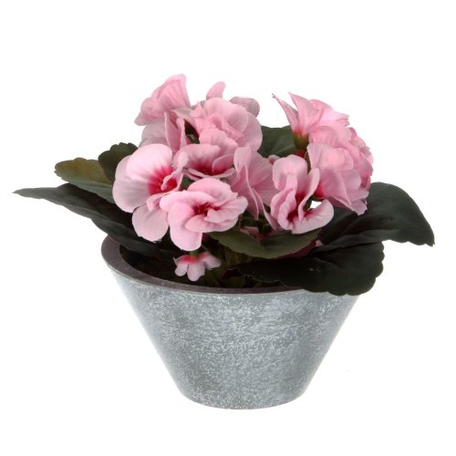 Цветочная композиция РЕМЕКО, 724799 Пеларгония 11,5*11,5*13 см
Цветочная композиция РЕМЕКО, 724799 Пеларгония 11,5*11,5*13 см